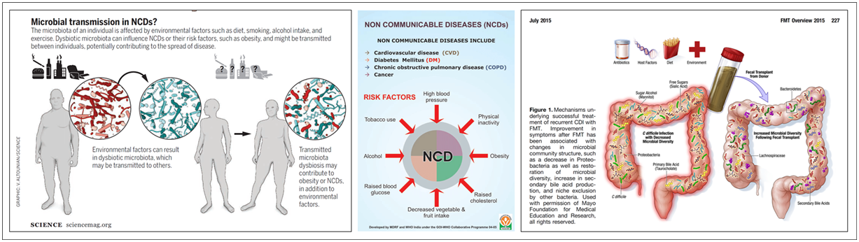 Effects and Expectations of Basic Research on Gastrointestinal Diseases